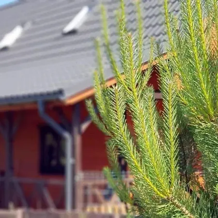 Ferienhaus In Mit Privater Terrasse Ferienhaus *